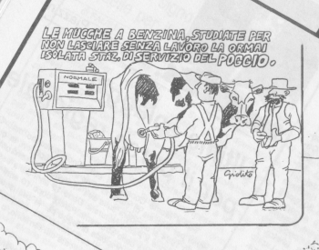 Pagine memoria 41 - Un Poggio in declino