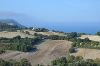 Nuovo PSR Piano di Sviluppo Rurale: il Parco incontra le associazioni agricole
