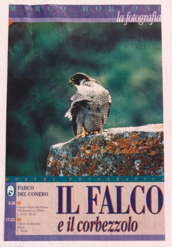 Pagine memoria 50 – Il custode dei pellegrini